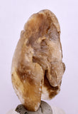 4.5cms SELENITE DOLLAR CRYSTAL Peru Coin Golden Gypsum Suiseki Translucent Premium Mineral Specimen T448