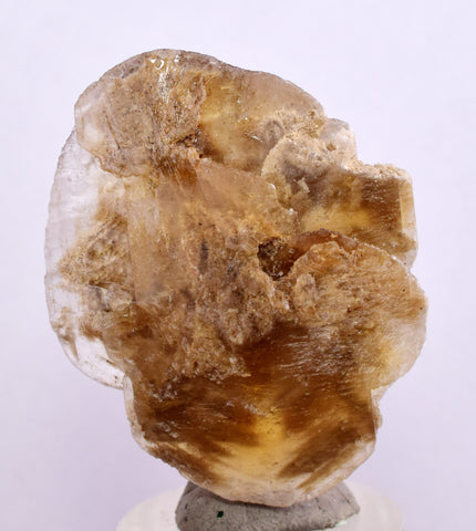 4.5cms SELENITE DOLLAR CRYSTAL Peru Coin Golden Gypsum Suiseki Translucent Premium Mineral Specimen T448
