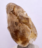 4.5cms SELENITE DOLLAR CRYSTAL Peru Coin Golden Gypsum Suiseki Translucent Premium Mineral Specimen T448