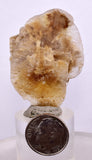 4.5cms SELENITE DOLLAR CRYSTAL Peru Coin Golden Gypsum Suiseki Translucent Premium Mineral Specimen T448