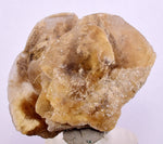 3.8cms SELENITE DOLLAR CRYSTAL Peru Coin Golden Gypsum Suiseki Translucent Premium Mineral Specimen T449