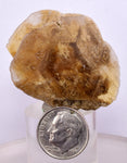 3.8cms SELENITE DOLLAR CRYSTAL Peru Coin Golden Gypsum Suiseki Translucent Premium Mineral Specimen T449