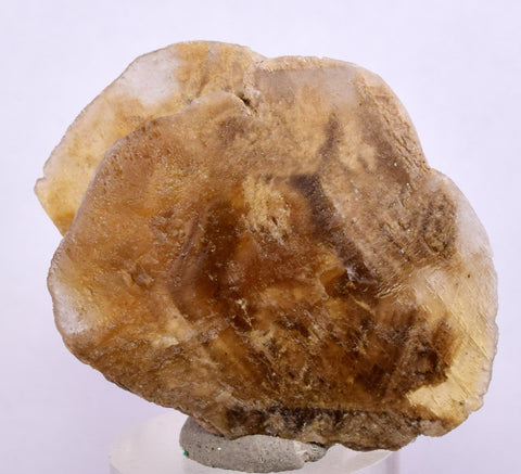 3.8cms SELENITE DOLLAR CRYSTAL Peru Coin Golden Gypsum Suiseki Translucent Premium Mineral Specimen T449