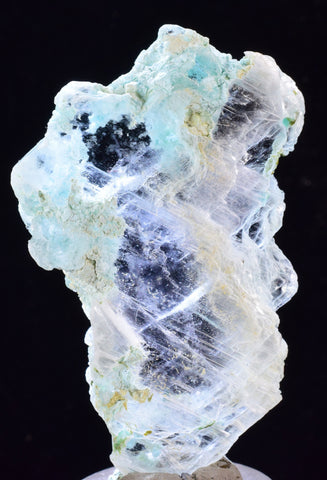 5.4cms CRYSOCOLLA INSIDE SELENITE Crystals  Peru Chrysocolla Gypsum Premium Mineral Specimen T450
