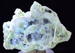 4.4cms CRYSOCOLLA INSIDE SELENITE Crystals  Peru Chrysocolla Gypsum Premium Mineral Specimen T451