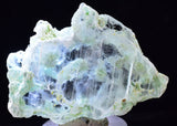 4.4cms CRYSOCOLLA INSIDE SELENITE Crystals  Peru Chrysocolla Gypsum Premium Mineral Specimen T451
