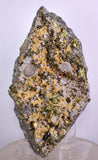 10.4cms APATITE SIDERITE  Crystals Quartz Chalcopyrite Peru Mineral Specimen A588