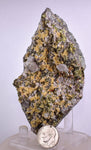 10.4cms APATITE SIDERITE  Crystals Quartz Chalcopyrite Peru Mineral Specimen A588