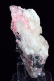 6.6cms RHODOCHROSITE MANGANO CALCITE Jordanite Galena Crystal Huanzala Peru Pink Mineral Specimen R682