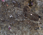 10.4cms PROUSTITE RUBY SILVER Crystals Uchucchacua Mine Peru Mineral Specimen H342