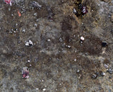 10.4cms PROUSTITE RUBY SILVER Crystals Uchucchacua Mine Peru Mineral Specimen H342