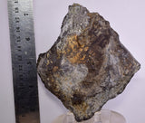 10.4cms PROUSTITE RUBY SILVER Crystals Uchucchacua Mine Peru Mineral Specimen H342