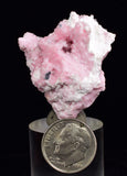 3.7cms RHODOCHROSITE CALCITE Peru Pink Crystals Collector Mineral Specimen R685