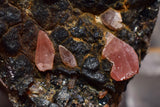 5.3cms GEM RHODOCHROSITE MANGANITE Quartz Crystals Uchucchacua Mineral Specimen R680