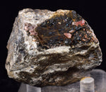 5.3cms GEM RHODOCHROSITE MANGANITE Quartz Crystals Uchucchacua Mineral Specimen R680