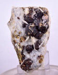 6.1cms SPHALERITE BARITE QUARTZ Gem Peru Crystals Manuelita Mine Morococha Display or To Cut It Facet Grade Collector M256