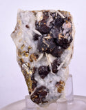6.1cms SPHALERITE BARITE QUARTZ Gem Peru Crystals Manuelita Mine Morococha Display or To Cut It Facet Grade Collector M256
