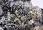 3.3cms PROUSTITE RUBY SILVER Crystals Uchucchacua Mine Peru Mineral Specimen H341