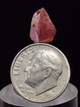 1cms GEM RHODOCHROSITE MANGANITE Quartz Crystals Uchucchacua Mineral Specimen R698