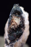 1.7cms NATIVE SILVER WIRES Peru Uchuchaccua Mine 2000 Discovery Mineral Specimen H343