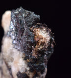 1.7cms NATIVE SILVER WIRES Peru Uchuchaccua Mine 2000 Discovery Mineral Specimen H343