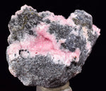 4.3cms RHODOCHROSITE ROSETTE CHALCOPYRITE Peru Pink Jordanite  Crystals Collector Mineral Specimen R688
