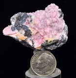 4.3cms RHODOCHROSITE ROSETTE CHALCOPYRITE Peru Pink Jordanite  Crystals Collector Mineral Specimen R688