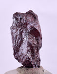 1.5cms PROUSTITE RUBY SILVER Crystals Uchucchacua Mine Peru Mineral Specimen H346