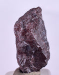 1.5cms PROUSTITE RUBY SILVER Crystals Uchucchacua Mine Peru Mineral Specimen H346