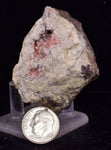 5.3cms GEM RHODOCHROSITE MANGANITE Quartz Crystals Uchucchacua Mineral Specimen R691