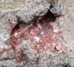 5.3cms GEM RHODOCHROSITE MANGANITE Quartz Crystals Uchucchacua Mineral Specimen R691