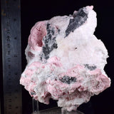 16cms RHODOCHROSITE ROSETTE PYRITE Mangano Calcite Peru Crystals Collector Mineral Specimen R704