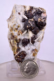 6.1cms SPHALERITE BARITE QUARTZ Gem Peru Crystals Manuelita Mine Morococha Display or To Cut It Facet Grade Collector M256