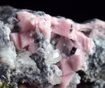 6.2cms RHODOCHROSITE CUBIC QUARTZ Peru Crystals Collector Mineral Specimen R709