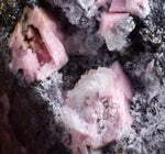 6.2cms RHODOCHROSITE CUBIC QUARTZ Peru Crystals Collector Mineral Specimen R709