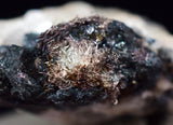 1.7cms NATIVE SILVER WIRES Peru Uchuchaccua Mine 2000 Discovery Mineral Specimen H343