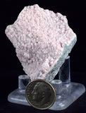 4.8cms RHODOCHROSITE ROSETTE QUARTZ Peru Crystals Collector Mineral Specimen R712