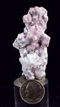 5.5cms RHODOCHROSITE ROSETTE QUARTZ Peru Crystals Collector Mineral Specimen R717