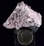 4.5cms RHODOCHROSITE ROSETTE QUARTZ Peru Crystals Collector Mineral Specimen R719