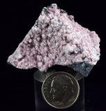4.5cms RHODOCHROSITE ROSETTE QUARTZ Peru Crystals Collector Mineral Specimen R719