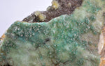 11cms GEM SILICA CHRYSOCOLLA Druzy Quartz Lily Mine Peru Mineral Specimen D276