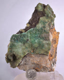 11cms GEM SILICA CHRYSOCOLLA Druzy Quartz Lily Mine Peru Mineral Specimen D276