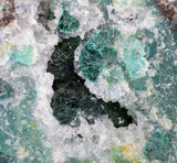 9.5cms GEM SILICA CHRYSOCOLLA Druzy Quartz Lily Mine Peru Mineral Specimen D277