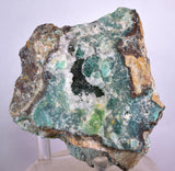 9.5cms GEM SILICA CHRYSOCOLLA Druzy Quartz Lily Mine Peru Mineral Specimen D277