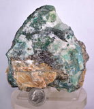 9.5cms GEM SILICA CHRYSOCOLLA Druzy Quartz Lily Mine Peru Mineral Specimen D277