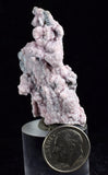 Lot 10 RHODOCHROSITE ROSETTE QUARTZ Peru Crystals Collector Mineral Specimen R722