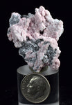 Lot 10 RHODOCHROSITE ROSETTE QUARTZ Peru Crystals Collector Mineral Specimen R723