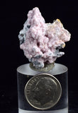 Lot 10 RHODOCHROSITE ROSETTE QUARTZ Peru Crystals Collector Mineral Specimen R723