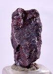 1.5cms PROUSTITE RUBY SILVER Crystals Uchucchacua Mine Peru Mineral Specimen H346