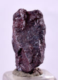 1.5cms PROUSTITE RUBY SILVER Crystals Uchucchacua Mine Peru Mineral Specimen H346